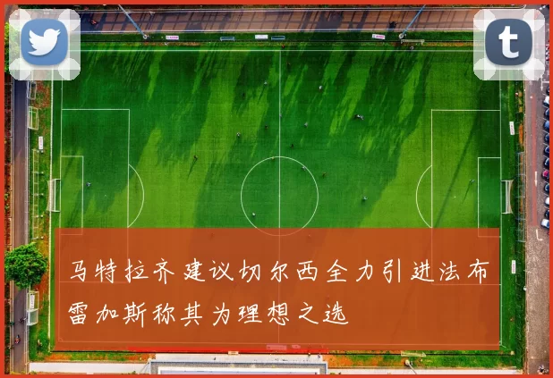 马特拉齐建议切尔西全力引进法布雷加斯称其为理想之选
