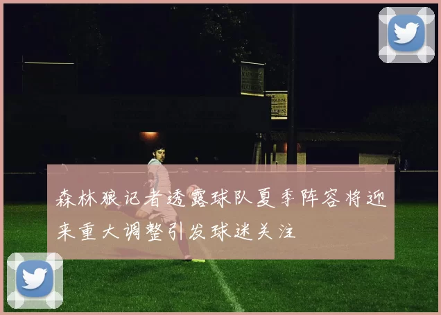 森林狼记者透露球队夏季阵容将迎来重大调整引发球迷关注